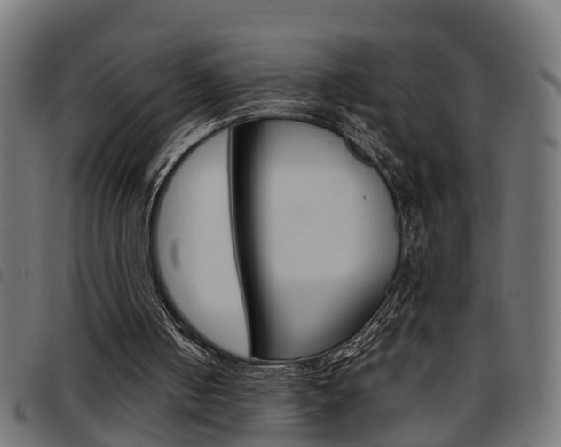X0000097780050200803070922
