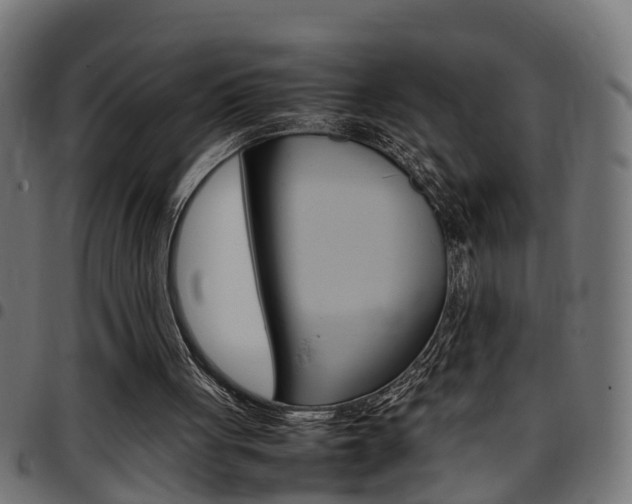 X0000097780051200803070922