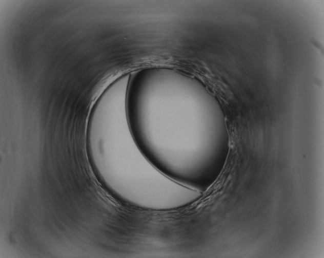 X0000097780052200803070922