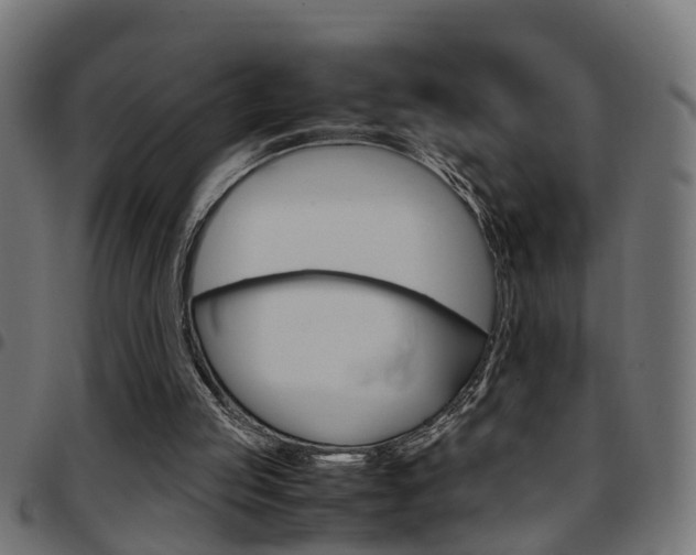 X0000097780053200803070922
