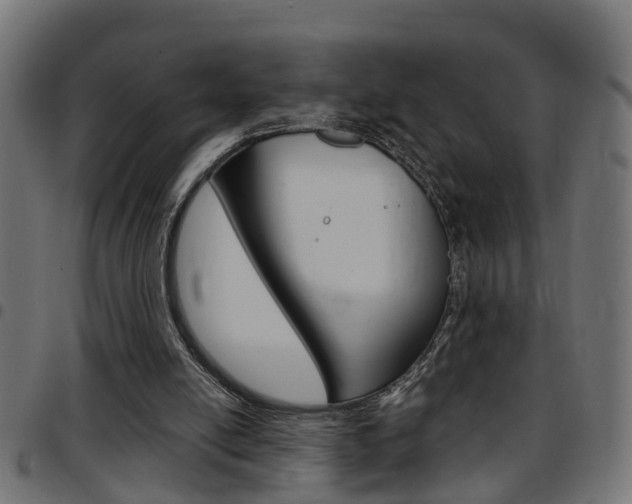 X0000097780054200803070922