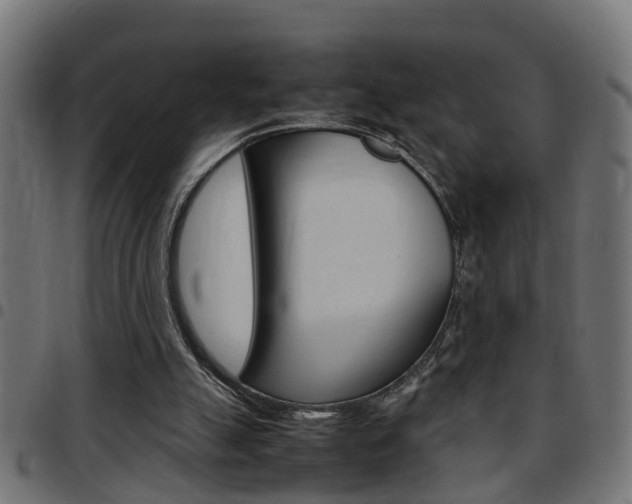 X0000097780055200803070922