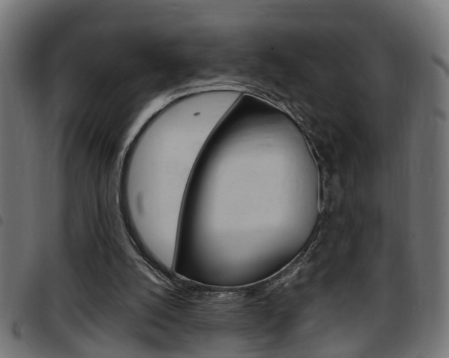 X0000097780056200803070922