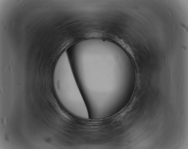X0000097780057200803070922