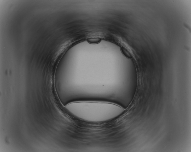 X0000097780059200803070922