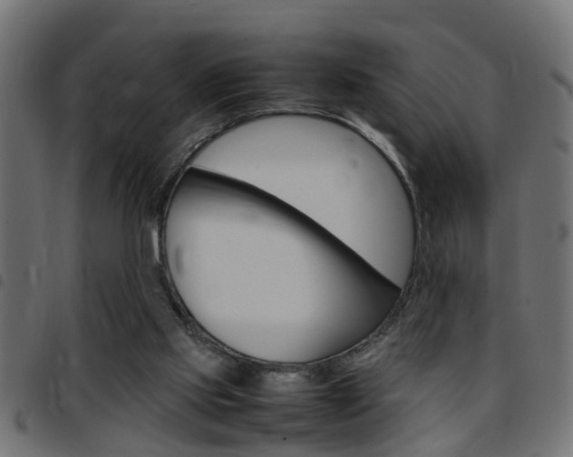 X0000097780061200803070922