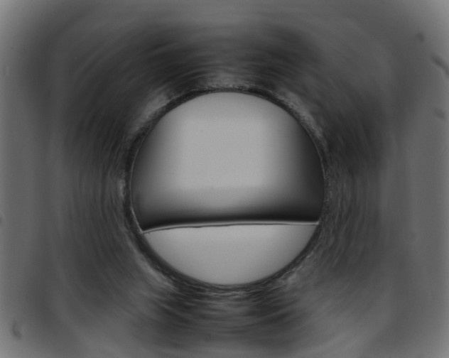 X0000097780063200803070922