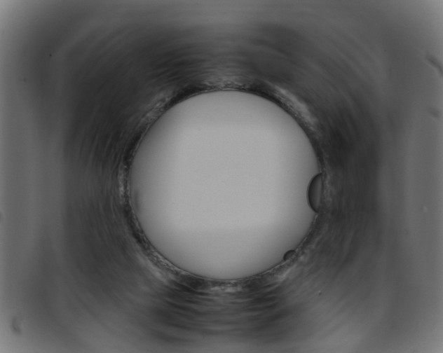 X0000097780065200803070922