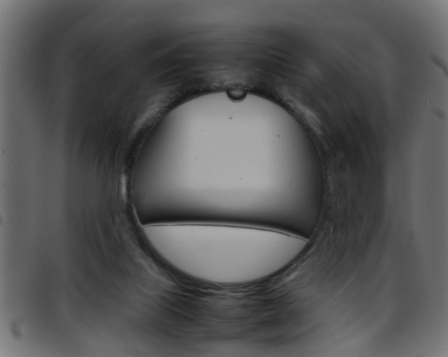 X0000097780067200803070922
