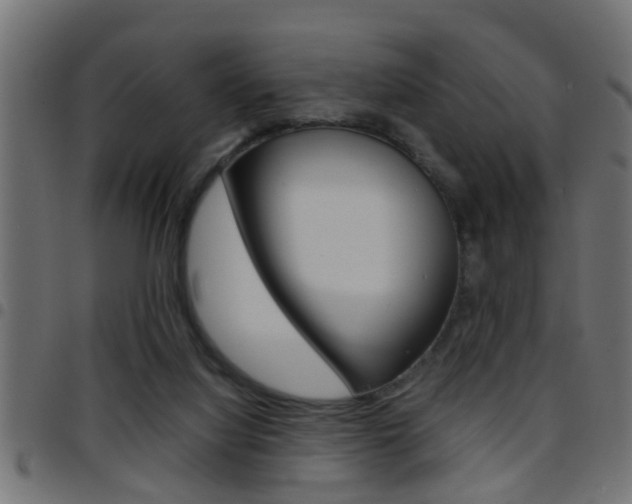 X0000097780068200803070922