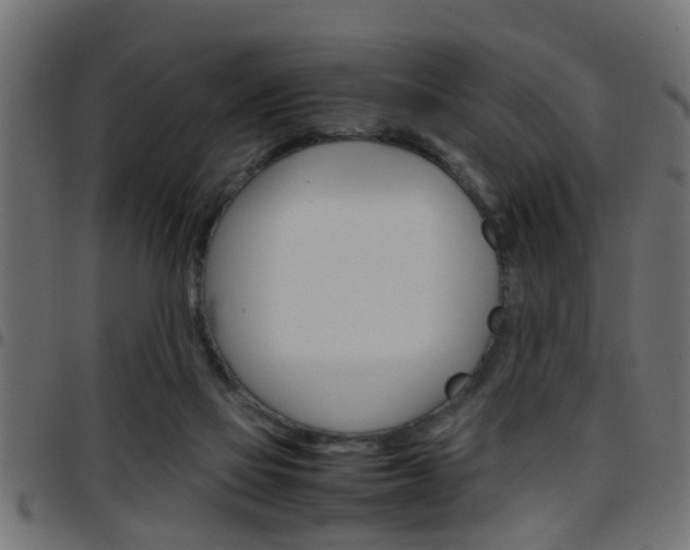 X0000097780069200803070922