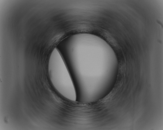 X0000097780070200803070922