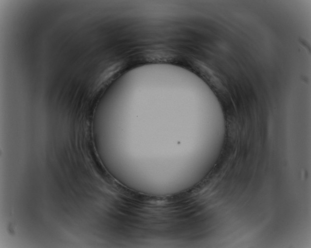 X0000097780071200803070922