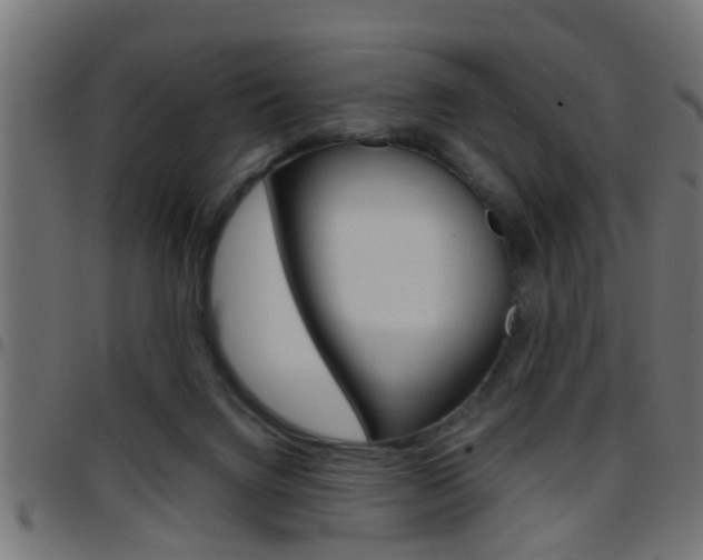 X0000097780072200803070922