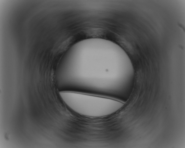 X0000097780073200803070922