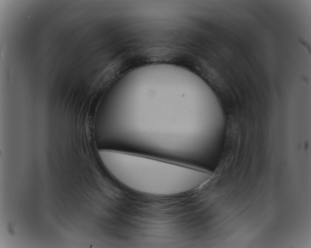 X0000097780074200803070922