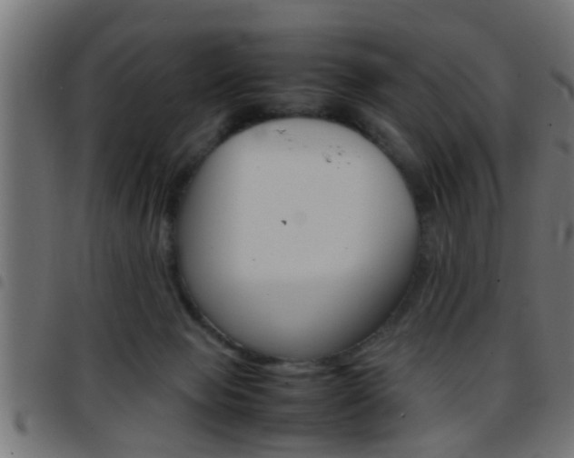 X0000097780077200803070922