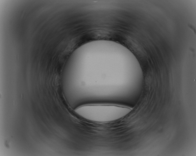 X0000097780079200803070922