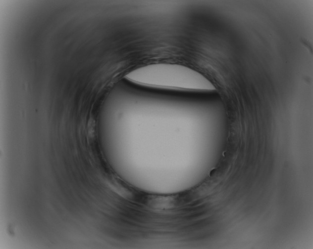 X0000097780081200803070922