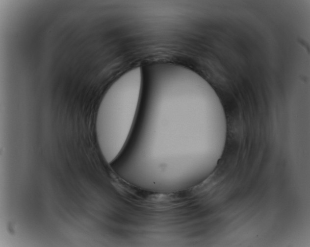 X0000097780082200803070922