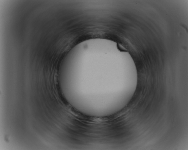 X0000097780083200803070922