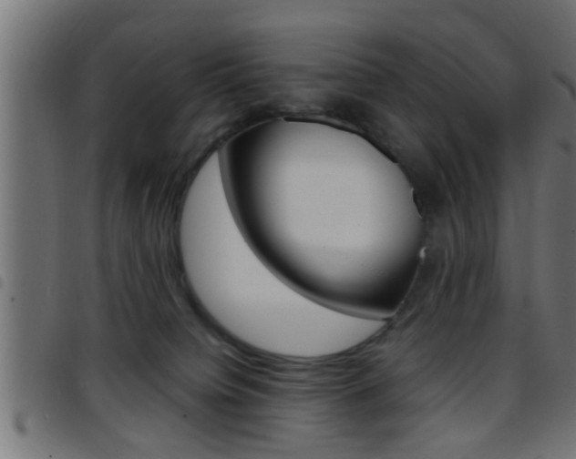 X0000097780084200803070922