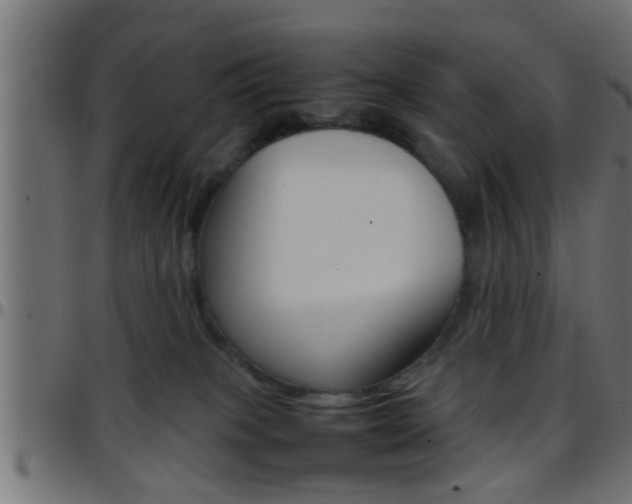 X0000097780085200803070922