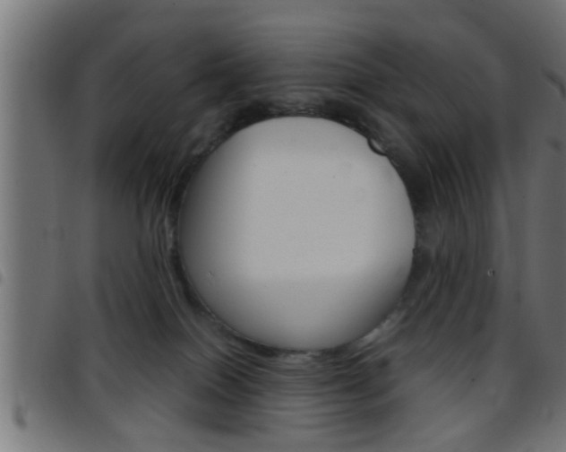 X0000097780086200803070922