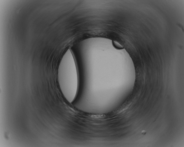 X0000097780089200803070923