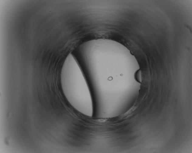 X0000097780090200803070923