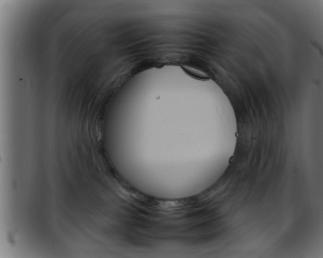 X0000097780091200803070923