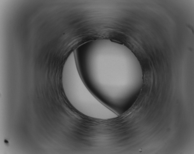 X0000097780092200803070923