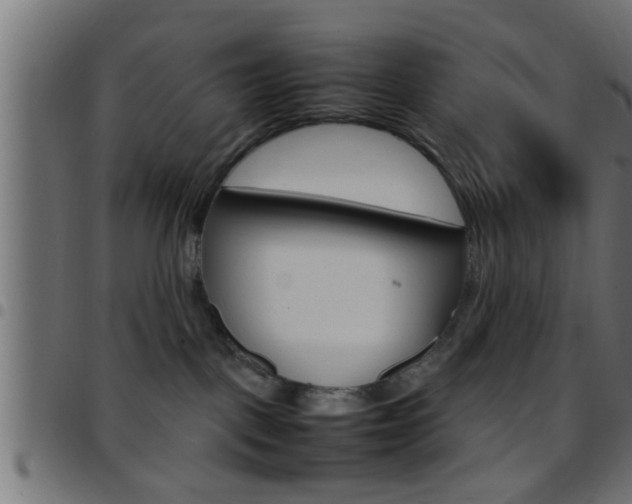 X0000097780093200803070923