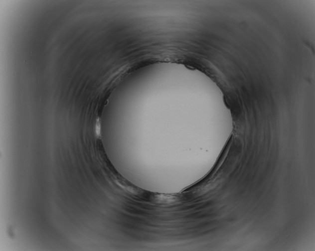 X0000097780095200803070923