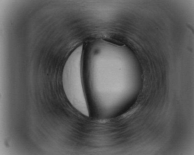 X0000097780096200803070923