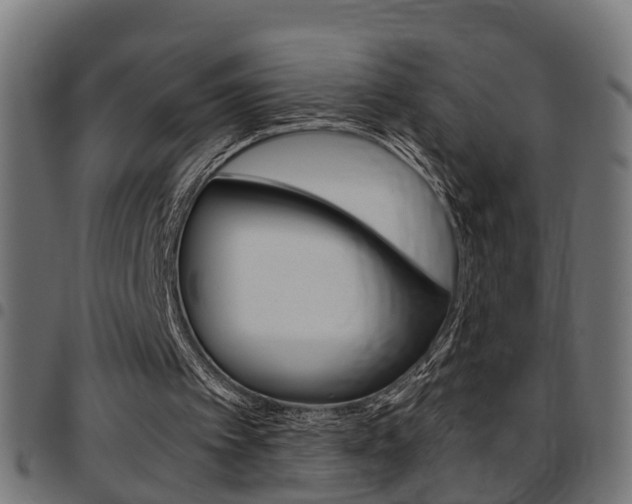 X0000097780097200803070922