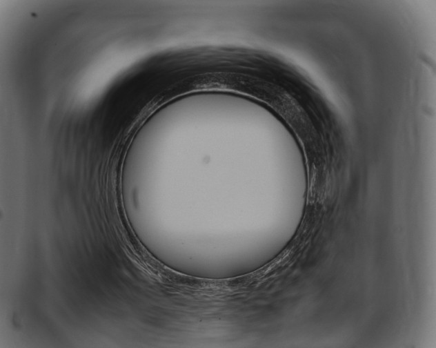 X0000097780099200803070922