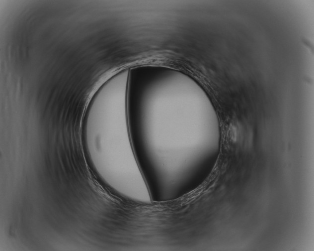 X0000097780100200803070922