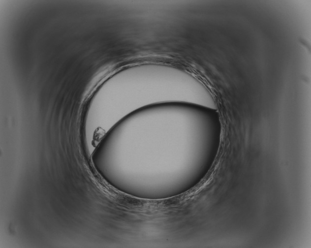X0000097780101200803070922