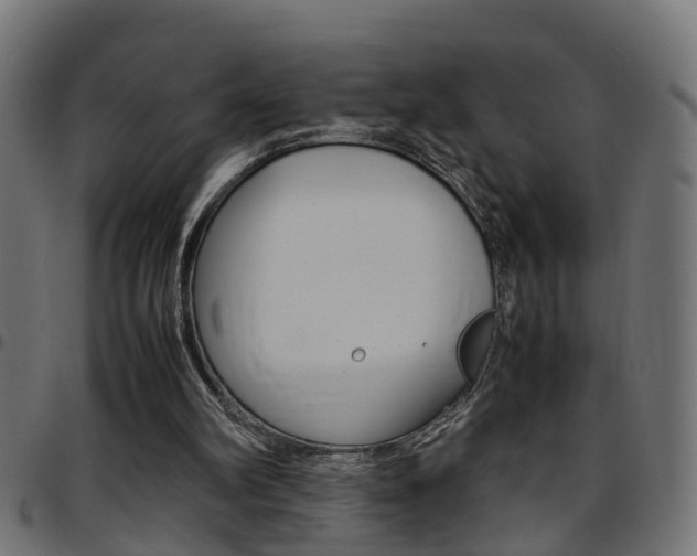 X0000097780102200803070922