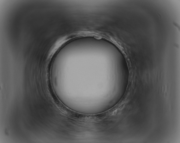 X0000097780103200803070922