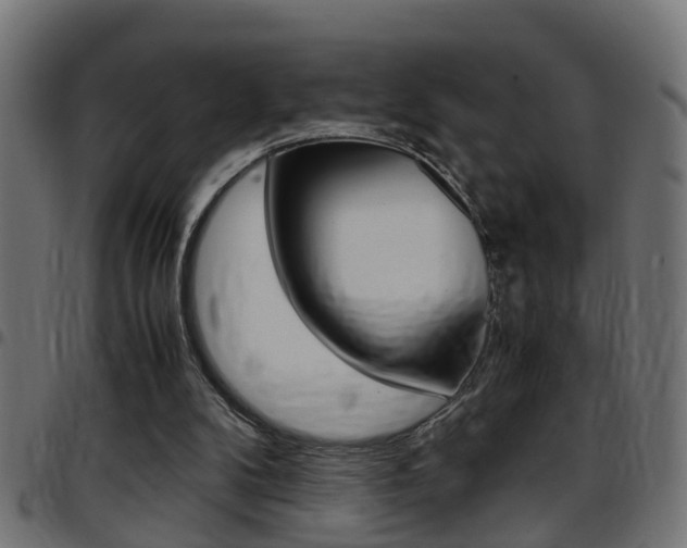 X0000097780104200803070922