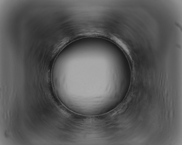 X0000097780105200803070922