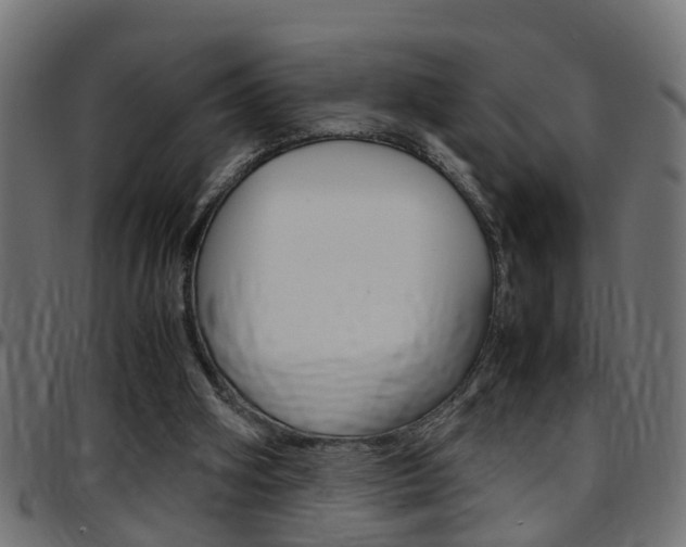 X0000097780106200803070922