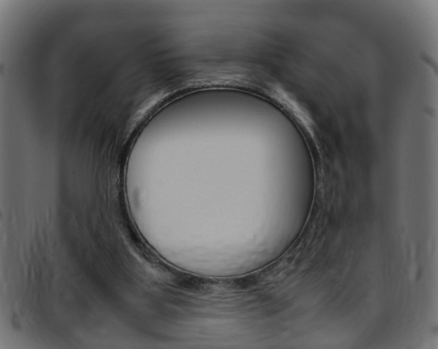 X0000097780107200803070922