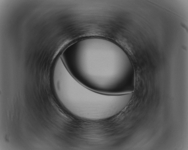 X0000097780108200803070922