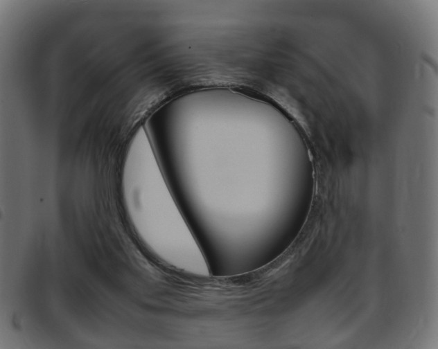 X0000097780109200803070922