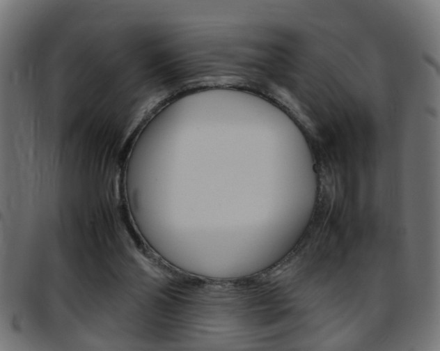 X0000097780110200803070922