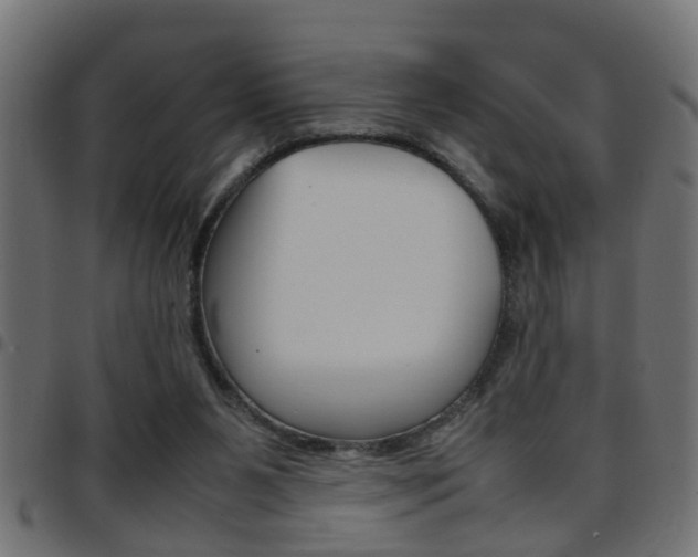 X0000097780111200803070922