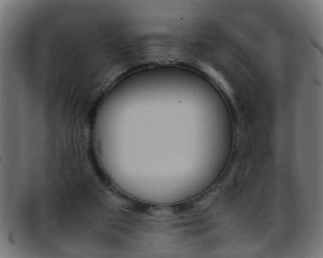 X0000097780113200803070922